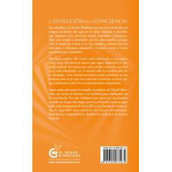 La evolución de la conciencia: Niveles y potencial espiritual