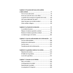 La vibración de las ondas cerebrales de Ilchi Lee
