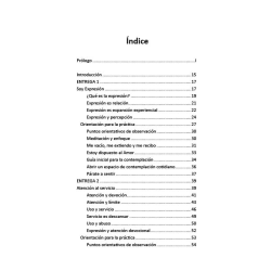 Soy expresión Volumen 1: Un curso de contemplación no dual