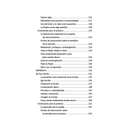 Soy expresión Volumen 1: Un curso de contemplación no dual